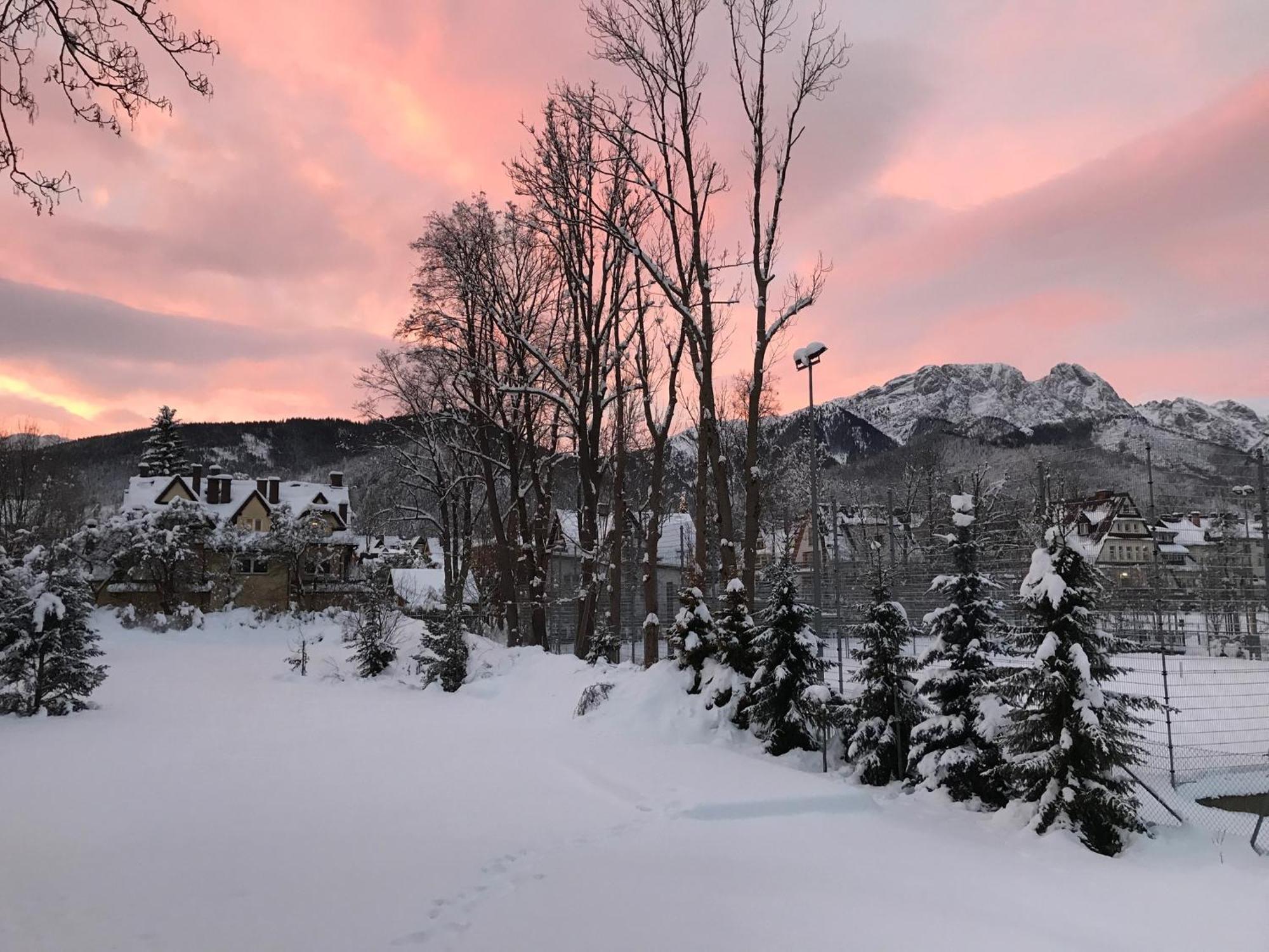 Willa Kmicic Zakopane Buitenkant foto